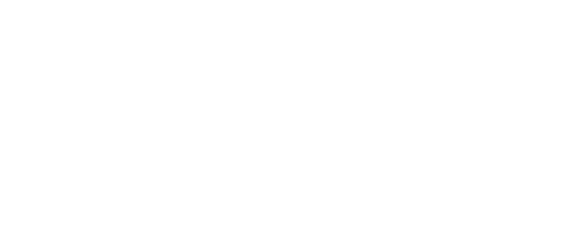 Alveus Group